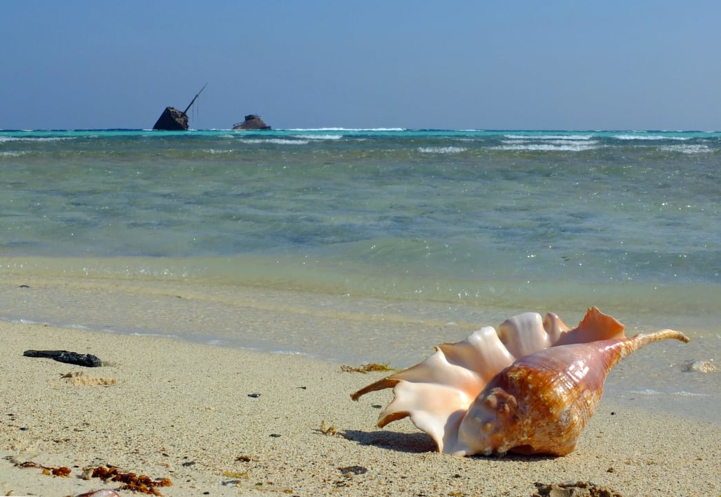 Karibik Feeling Ghazala Gardens