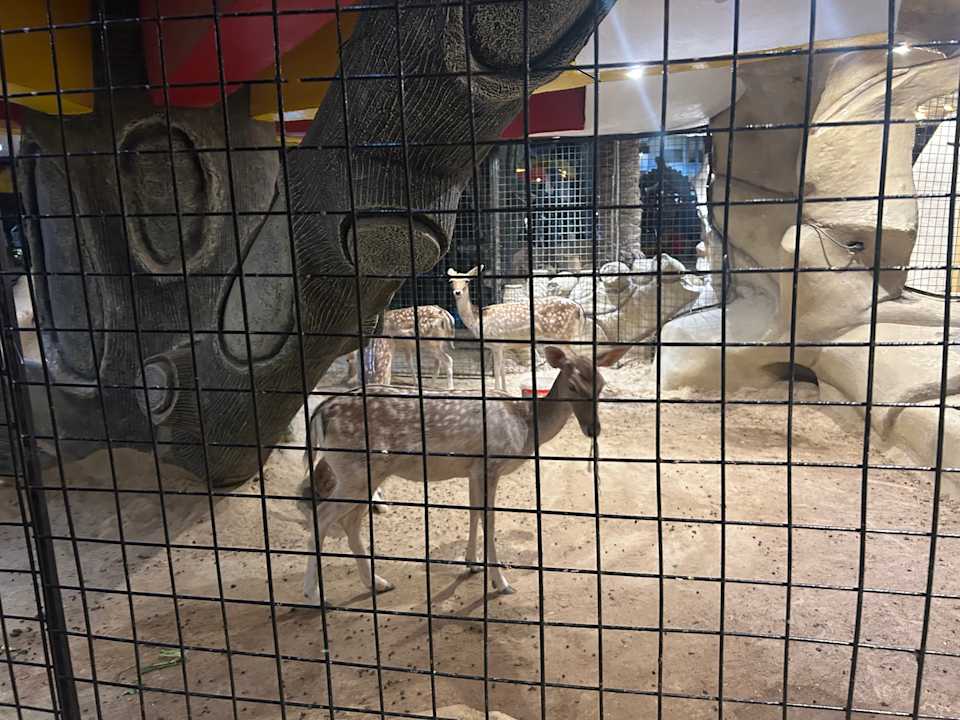 Sonstiges Seagull Beach Resort