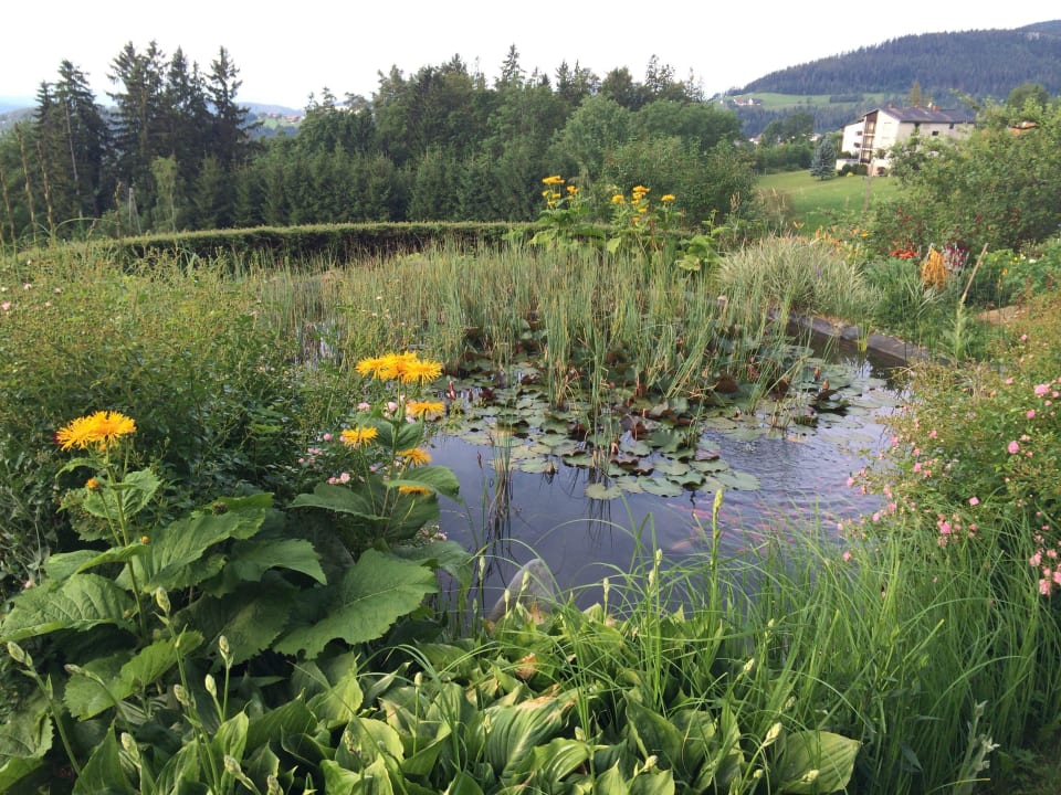 Biotop Privatzimmer Freiinger