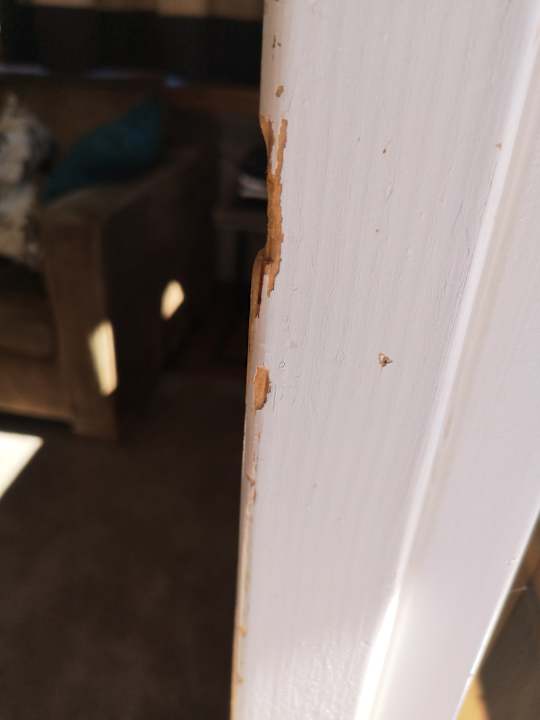 Zimmer Eiger Swiss Quality Hotel