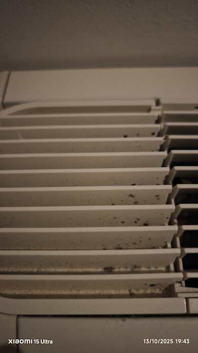 Sonstiges Sunshine Rhodes