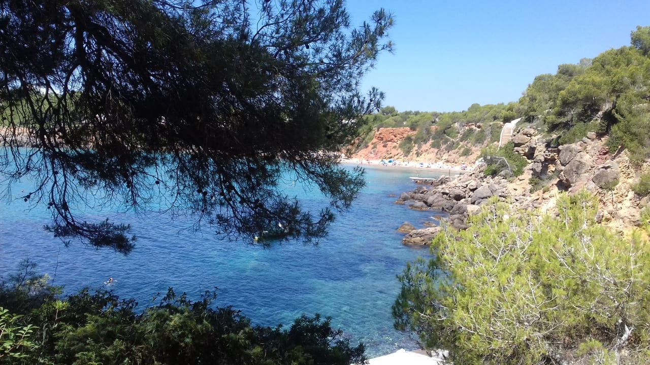 Strand Cala Llenya Resort Ibiza