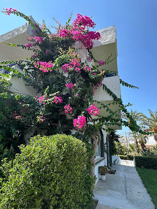 Gartenanlage Hotel Gorgona