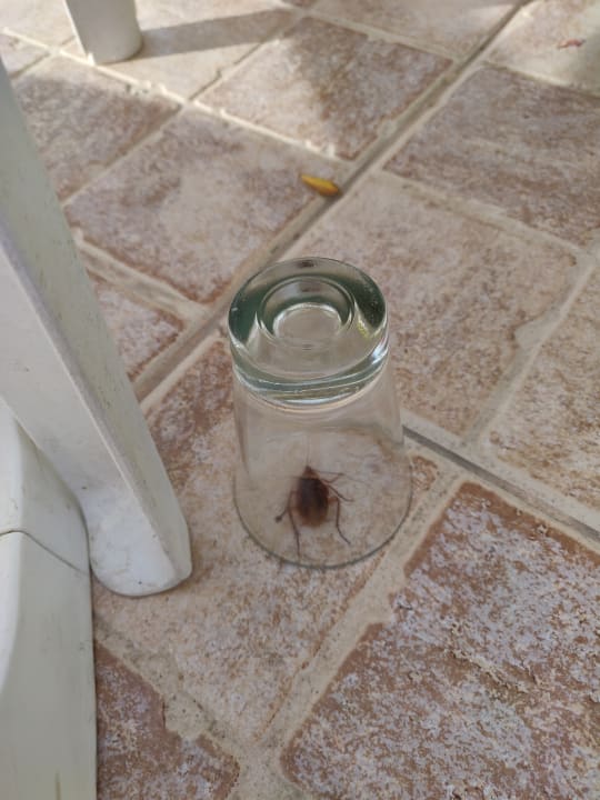 Pool Zita Beach Resort