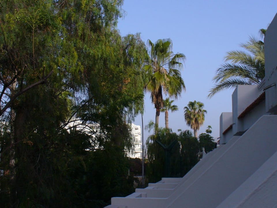 Blick vom unserem Balkon aus allsun Hotel Los Hibiscos