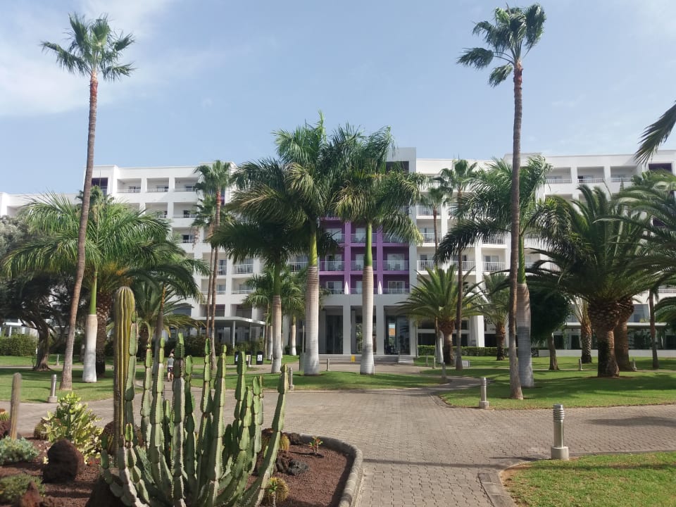 Gartenanlage Hotel Riu Gran Canaria