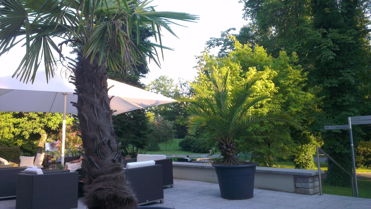 Terrasse Parkhotel Jordanbad
