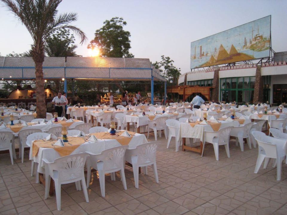 Abendessen am Pool Albatros Sharm Resort