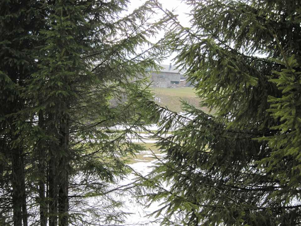 Aussicht von 2 Zi. Fewo Rückseite Pension & Ferienwohnung Solaria