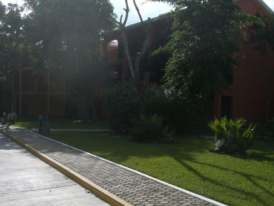 Hotel Hotel Riu Lupita