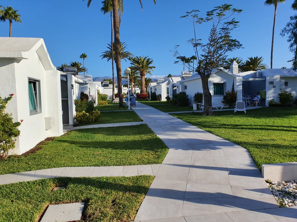 Außenansicht Canary Garden Club