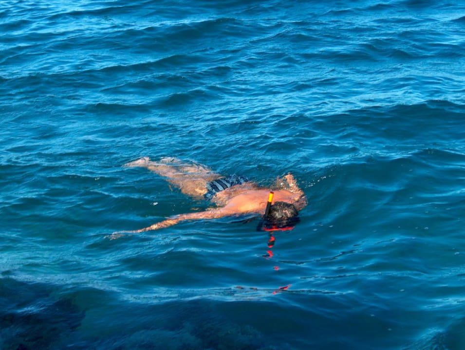 Mit den Fischen auf du und du Mövenpick Resort El Quseir