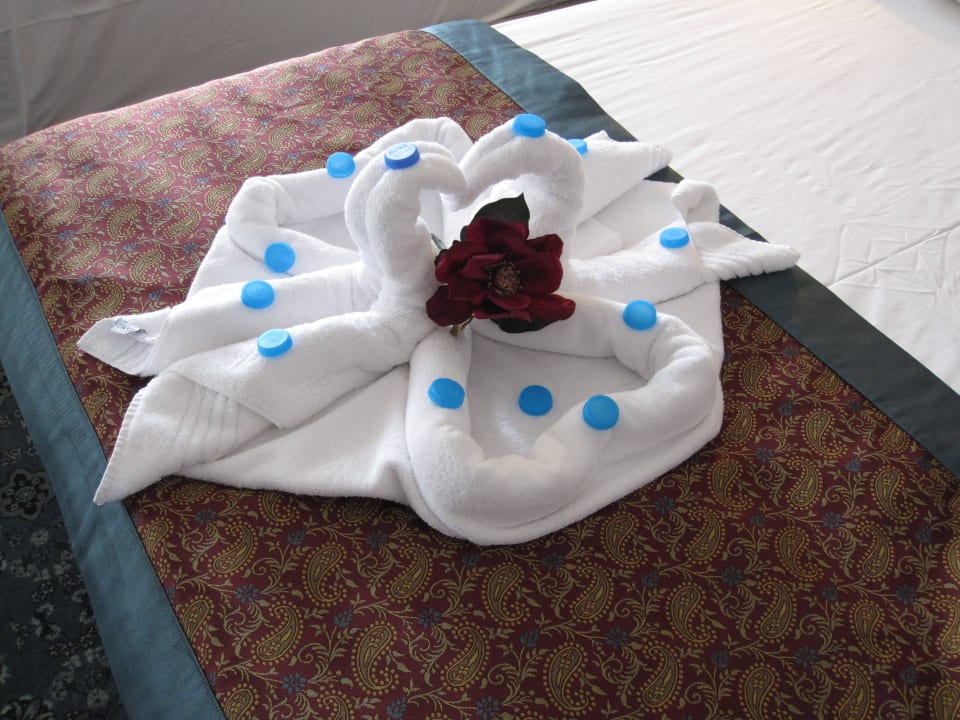 Abschiedsgeschenk vom Zimmermädchen Royal Taj Mahal Hotel