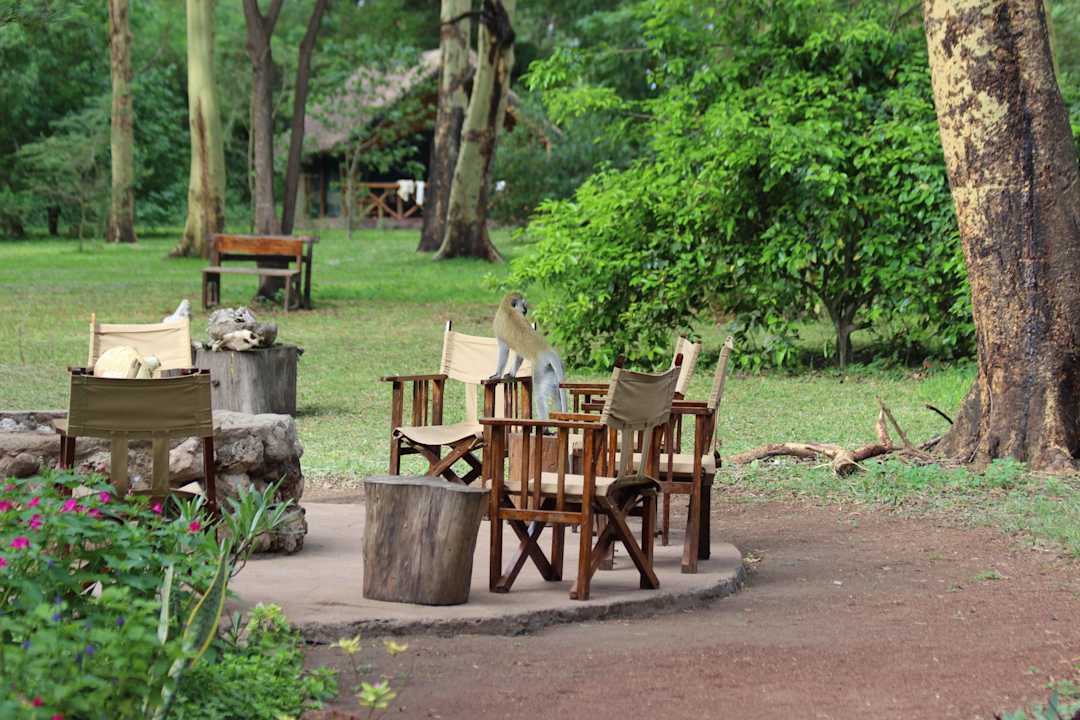 Место у костра Migunga Tented Camp