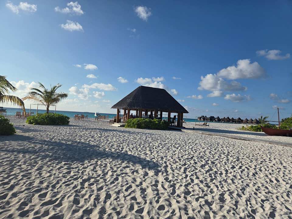 Strand Coco Palm Dhuni Kolhu