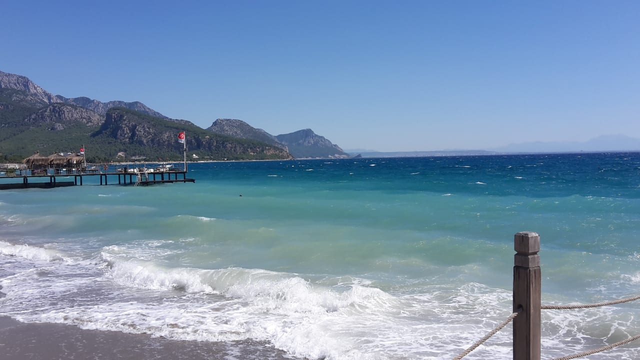 Strand Crystal Flora Pearl Collection