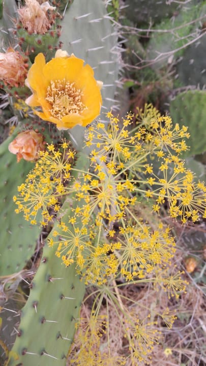 Gartenanlage Grande Baia Resort & Spa