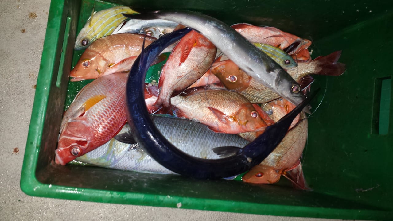 Fang des Tages Embudu Village