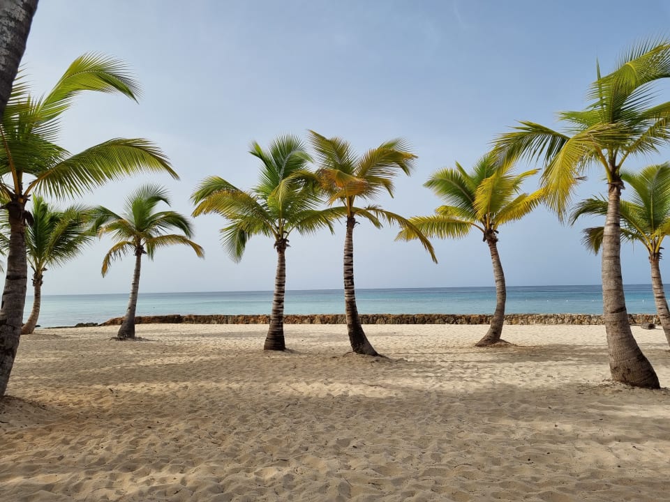 Strand Hotel Viva Dominicus Beach by Wyndham - All Inclusive Resort