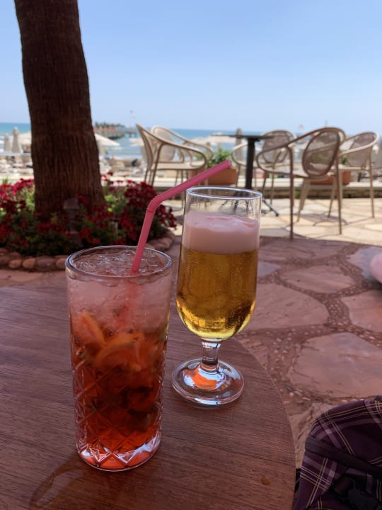 Gastro Arum Barut Collection