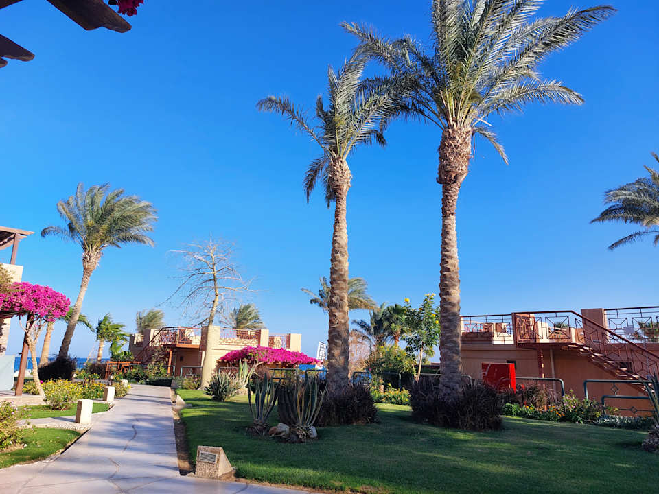 Außenansicht Shams Prestige Abu Soma-Adults Only