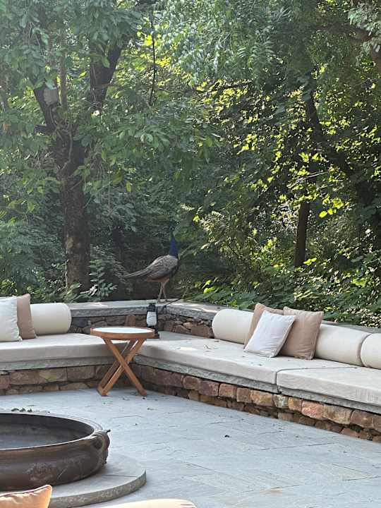 Gartenanlage Hotel Aman-I-Khás