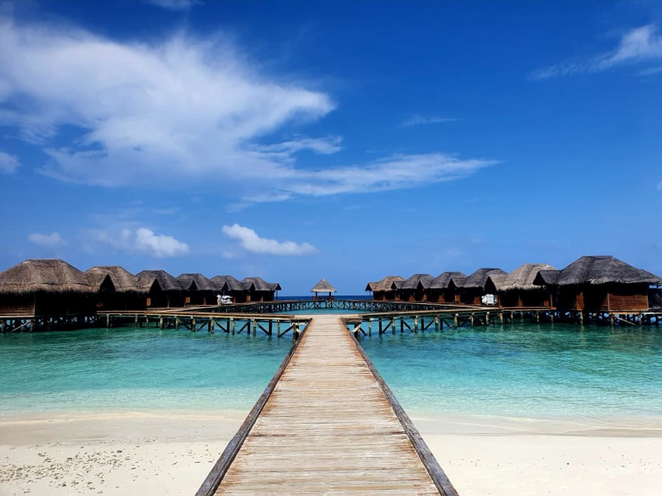 Ausblick Fihalhohi Maldives