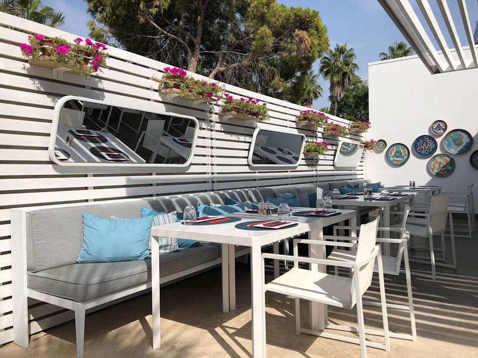 Gastro Acanthus Cennet Barut Collection