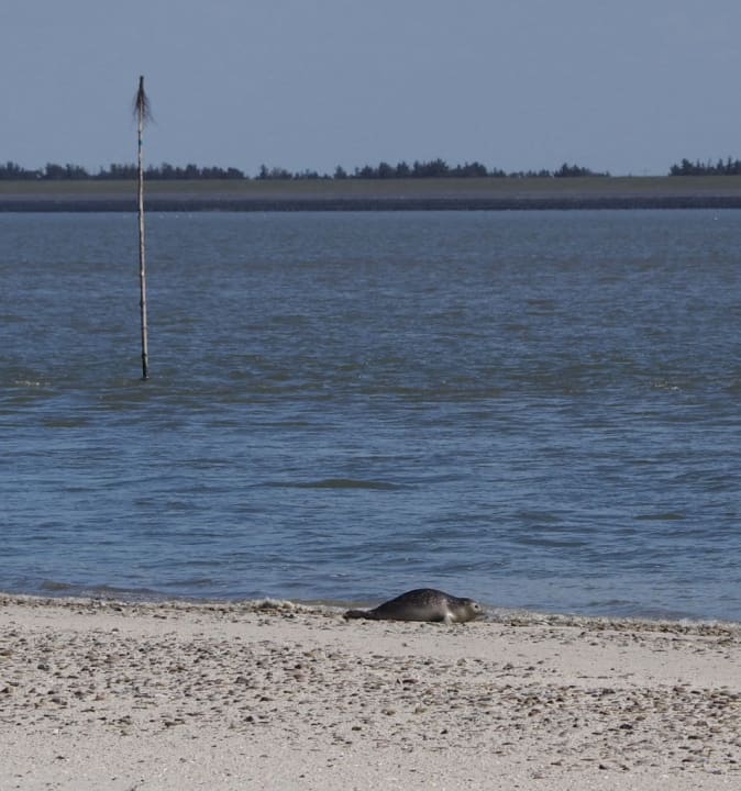 Strand Hotel Pidder Lyng