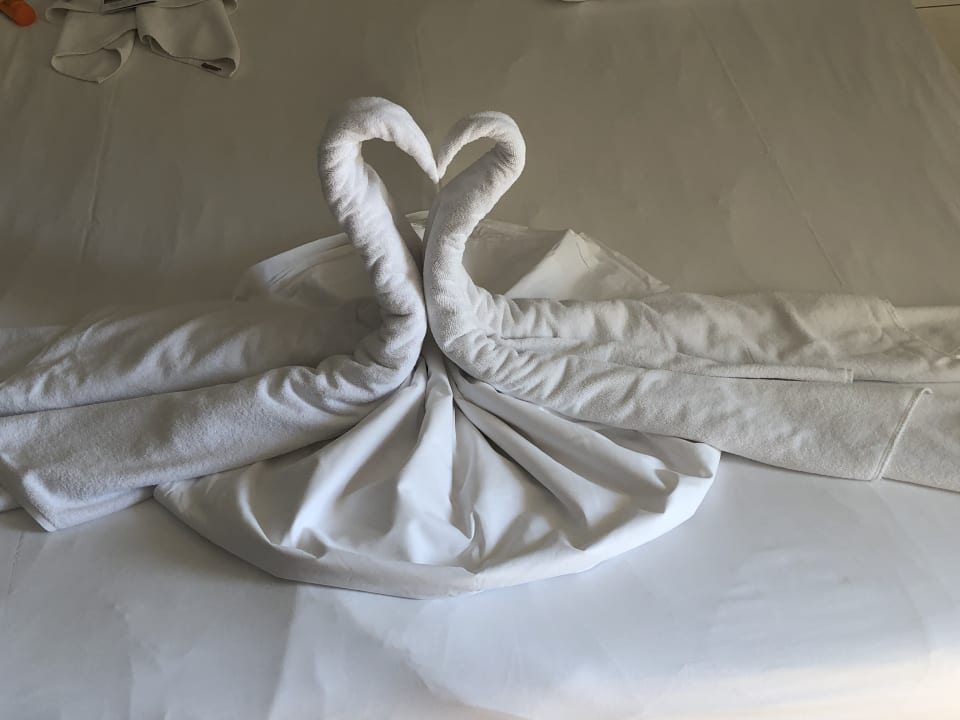 Zimmer Well Palace Side