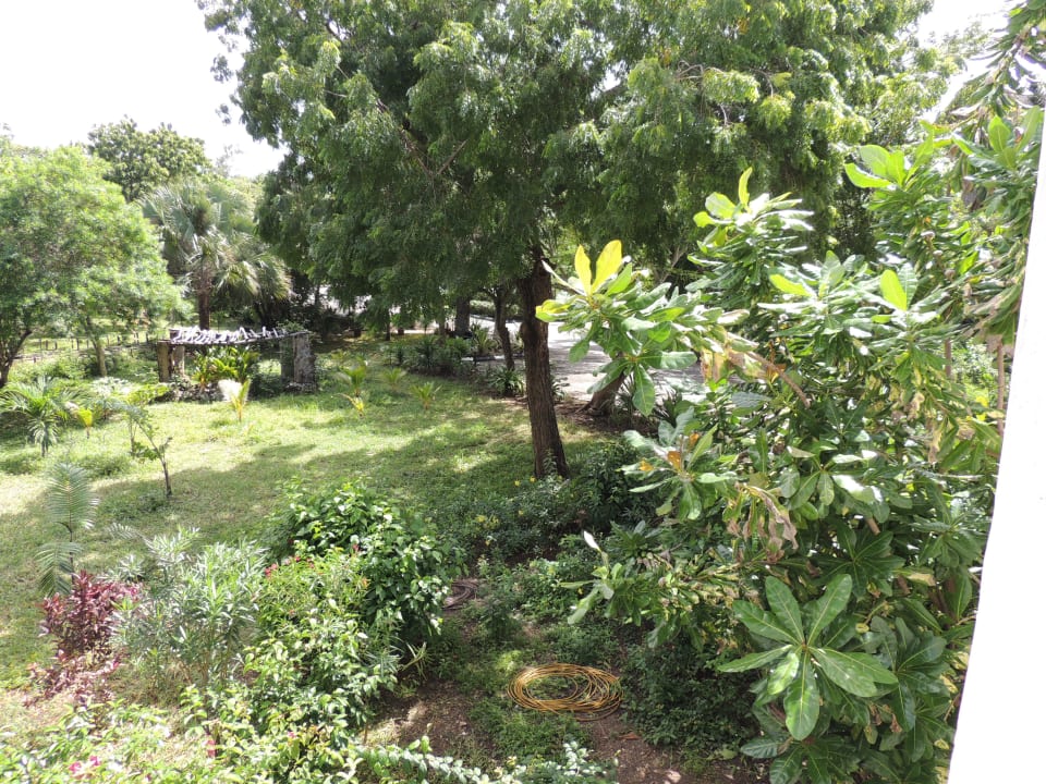 Blick auf Garten Kaskazi Beach Resort