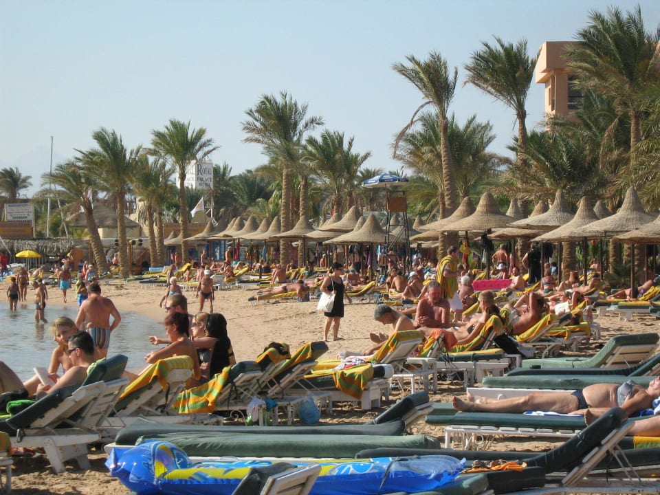 Sonnenverwöhnt Giftun Azur Resort