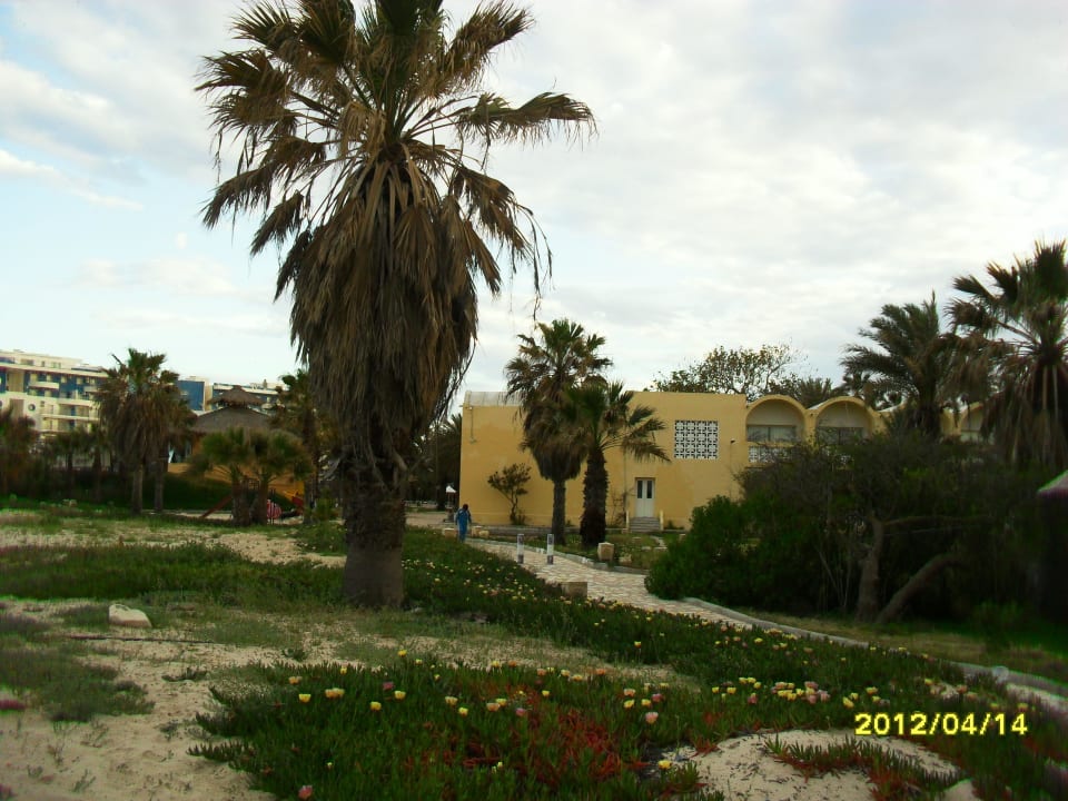 Ogród Hotel Marhaba Club