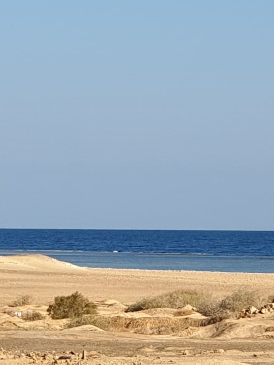 Ausblick Novotel Marsa Alam Beach Resort