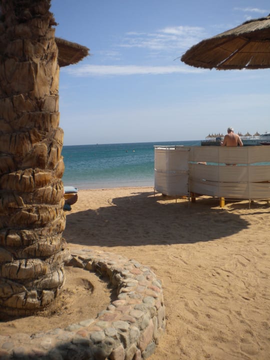 Sehr sauberer Strand Beach Albatros Resort