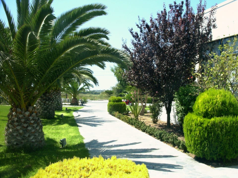 Seitlich vom Hotel in Richtung Strasse Hotel Esperia