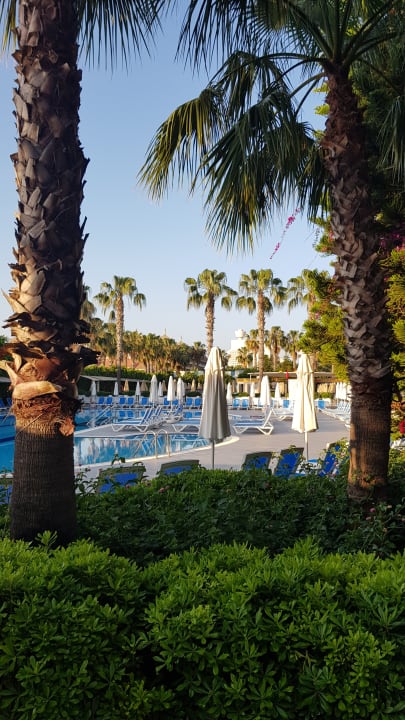 Pool Hane Family Resort