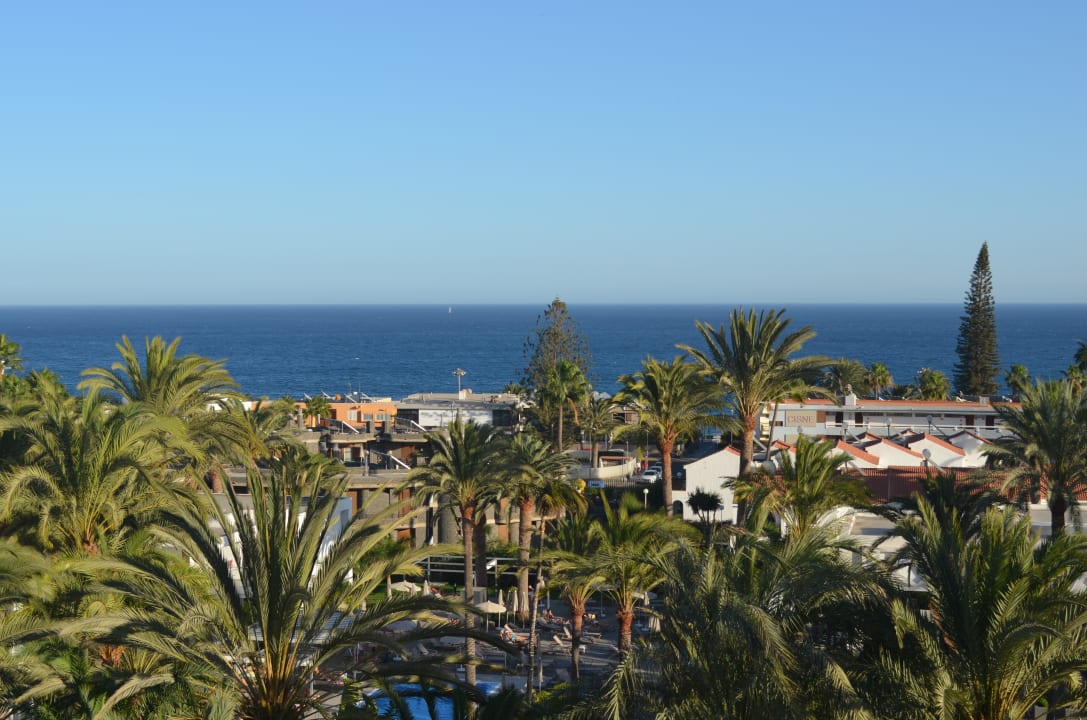 Ausblick Hotel Riu Palace Palmeras