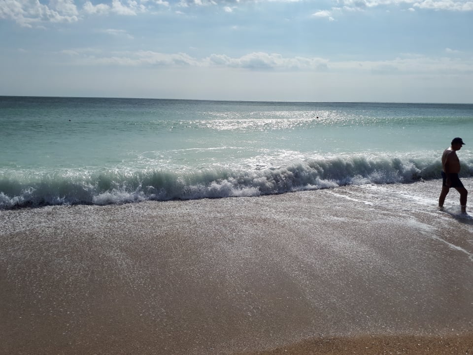 Strand Sentido Marea