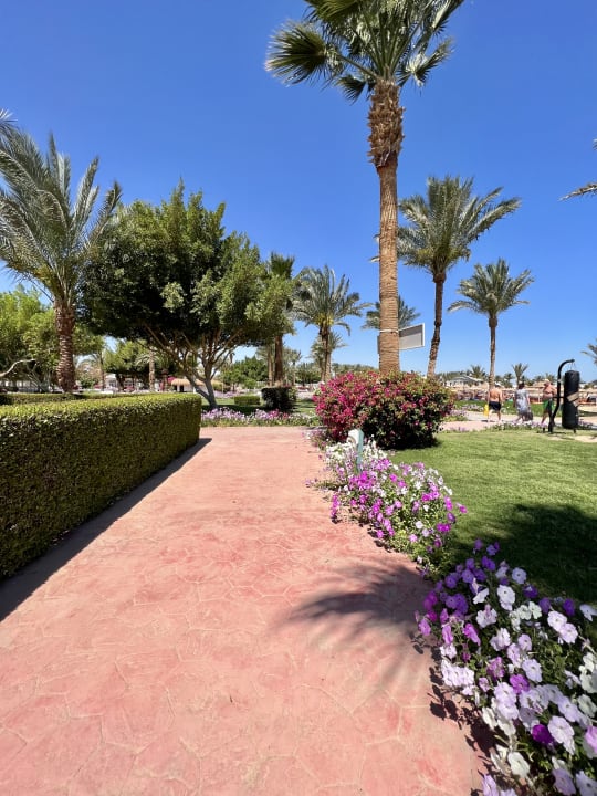 Gartenanlage Desert Rose