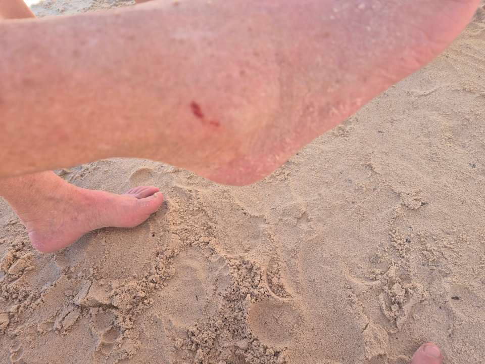 Sonstiges Sunscape Dominicus La Romana