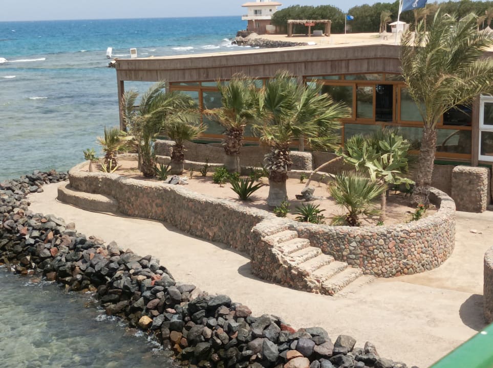 Ausblick Desert Rose