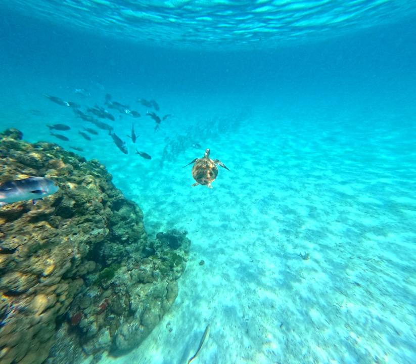Sport & Freizeit Jawakara Islands Maldives
