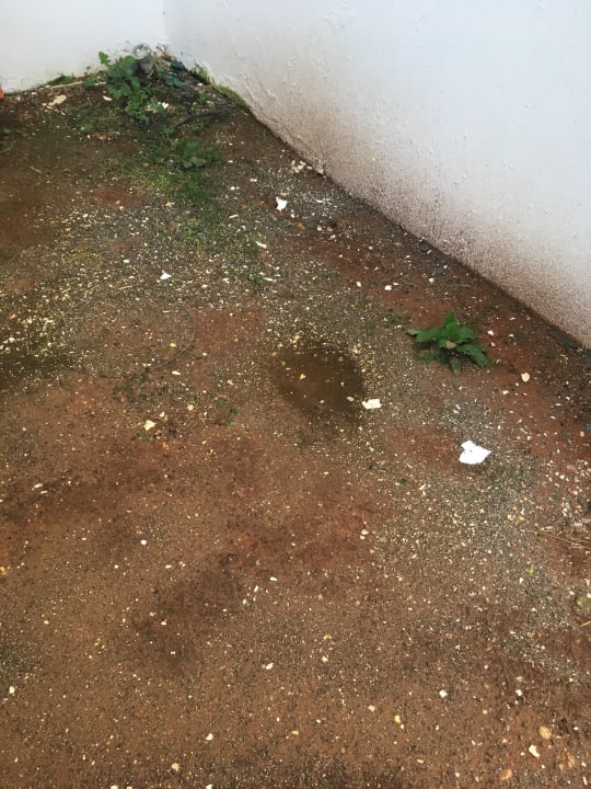 Sonstiges Hotel Serita Beach