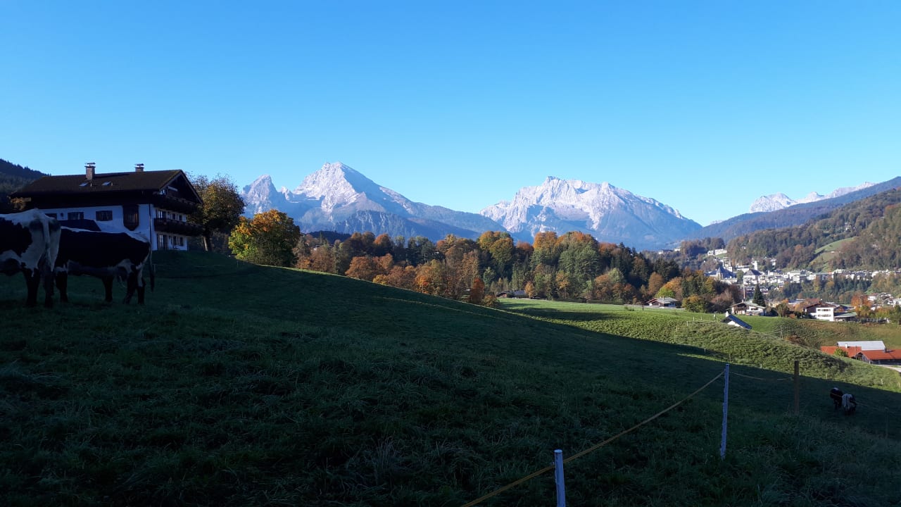 Ausblick Ferienwohnung Hirschbichler