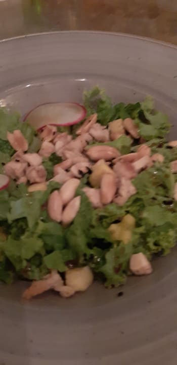 Gastro Catalonia Royal La Romana - Adults only