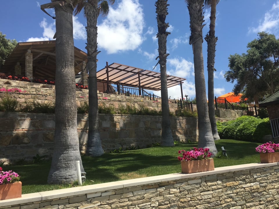 Gastro Arum Barut Collection