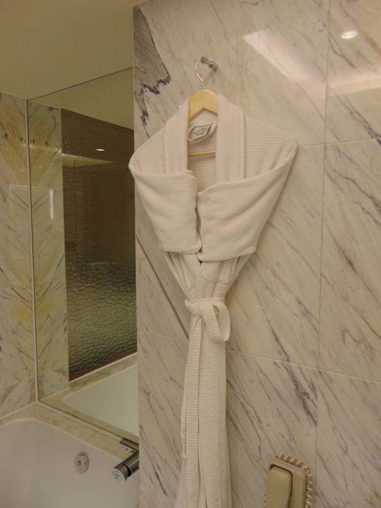 Zimmer Hotel Hyatt Regency Delhi