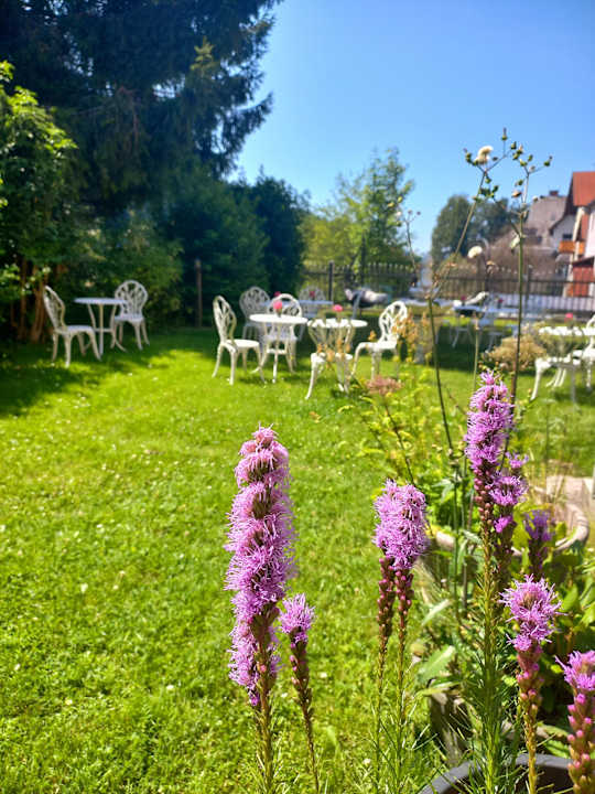 Gartenanlage Gasthof Gesslbauer