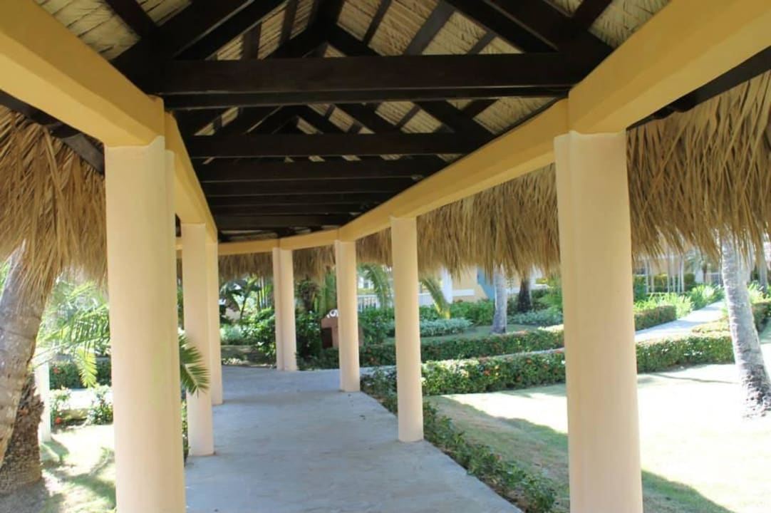 Von Restaurant Richtung Suites Grand Palladium Select Bávaro Resort & Spa